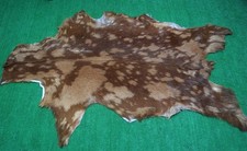 New Goat hide Rug Hair on Area Rug Size 36"x24" Animal Leather Goat Skin 190