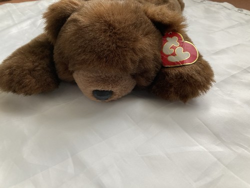 Lay flat brown teddy - brown, bear