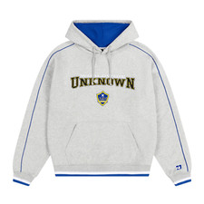 Unknown College Hoodie 'Grey'