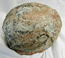 FORMIDABLE Hadrosaur Dinosaur