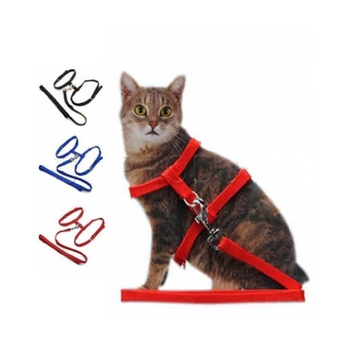 Pet living cat harness and - cat,