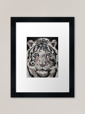 White Siberian Tiger Framed