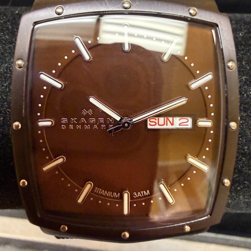 Skagen denmark titanium - skagen,