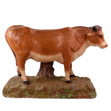 Butcher Shop Butchery Display