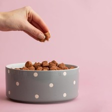 Mason Cash Polka Dot Sage Grey