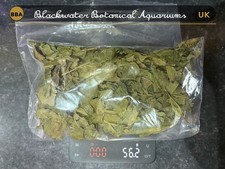 50g Mulberry Leaves for Shrimp