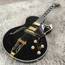 Hollow Body Byrdland Electric