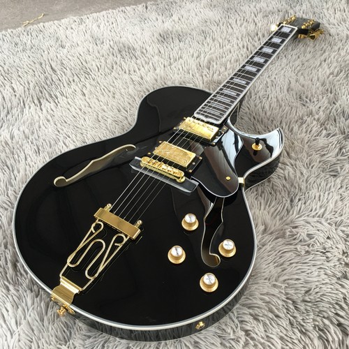 Hollow body byrdland electric - byrdland,