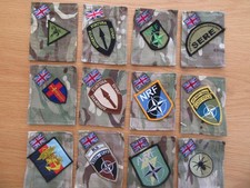 UK Forces badged up MTP TRF