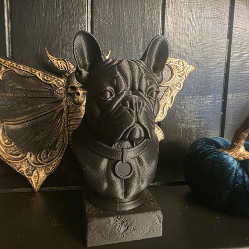French bulldog bust - french,