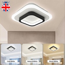 Decorative Modern Celling LED