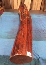 Snakewood Full Log / High