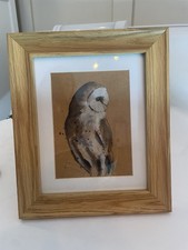 Original Barn Owl Watercolour