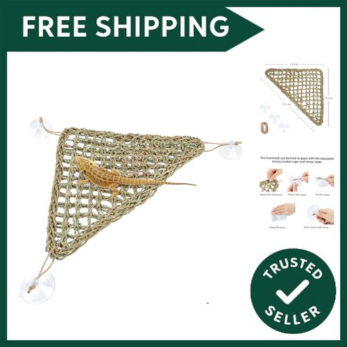 Bearded dragon hammock - hammock, reptile