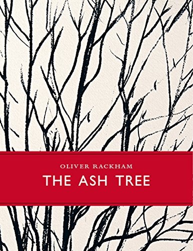 The ash tree little toller - ash,