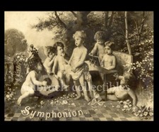 Symphonion Picture Lid Cover