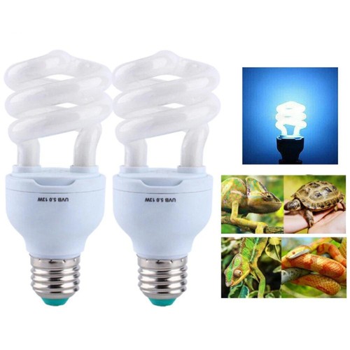Reptile spiral bulb for - spiral,