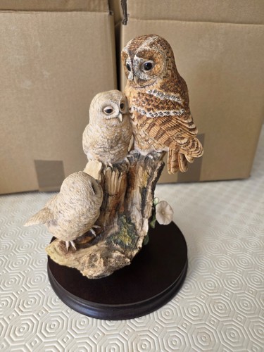Border fine arts tawny - arts, owl