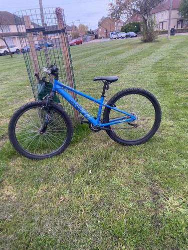 Mountain bike - mountain,