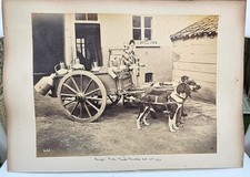 Dog-Drawn Carts, Belgium Bruges Large Photo plus Two Other Photos. 1895.