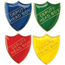 Deputy Head Boy, School/Club