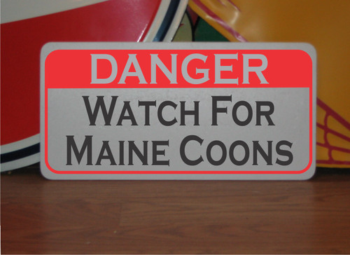 Watch for maine coons metal - for,