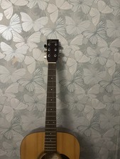 Encore Acoustic Guitar W255