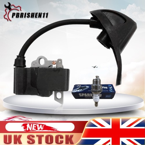 Ignition coil module - module, for