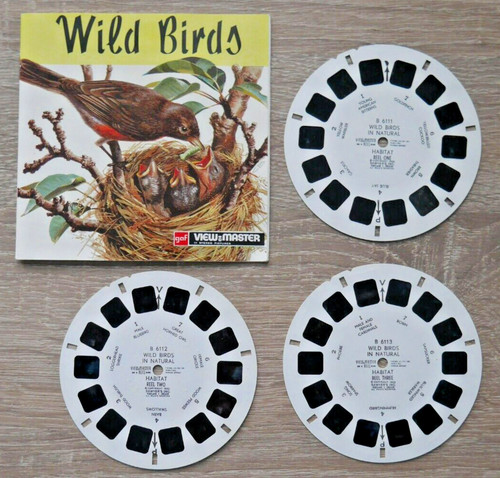Wild birds natural habitat - birds,
