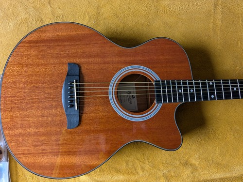 Ferndale natural cutaway - dc,