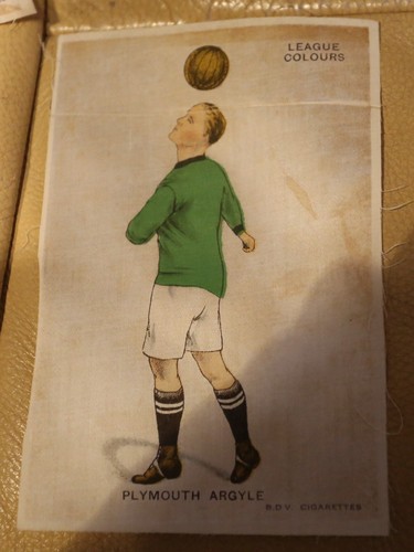 Plymouth argyle 1920 silk - argyle,