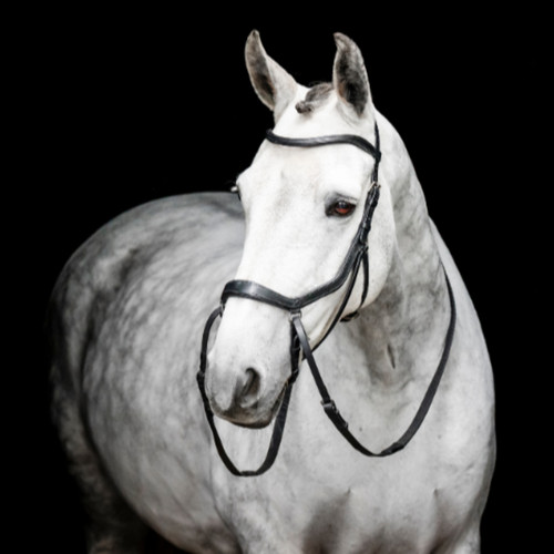 Horseware ireland micklem - ireland,