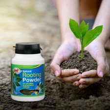 Doff Natural Hormone Rooting