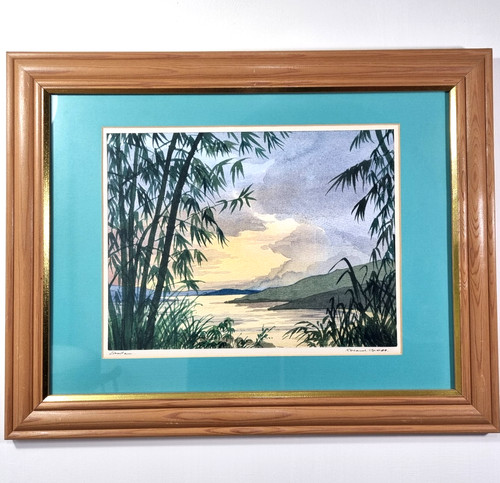 Original framed watercolour - original,