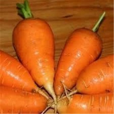 Carrot Oxheart, Grow Carrots in Pots! 150 Seeds Sow Mar-Jul+Oct-Nov,Sweet+Tender