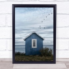 Beach Hut Beach hut Birds