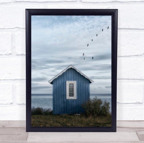 Beach hut - beach, birds