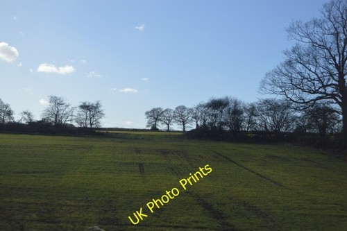 Photo 6x4 farmland near daw - near,