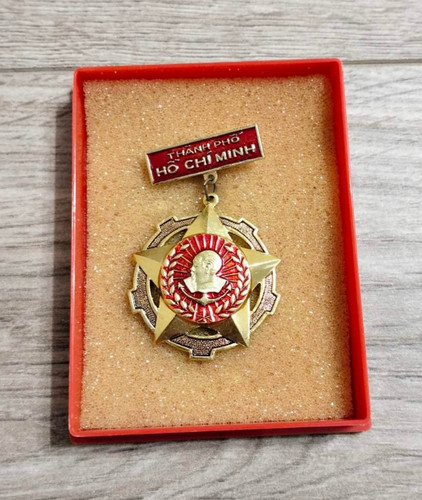 Vietnam war badge - vietnam, ho