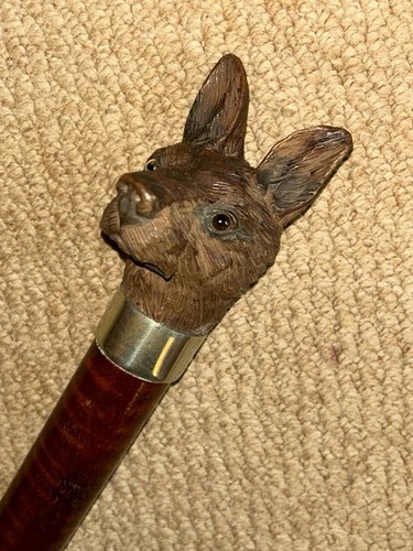 Antique walking stick cane - walking,