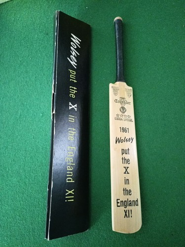 Nicolls crusader mini - nicolls,