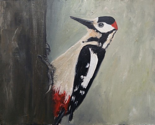 Woodpecker bird oil painting - woodpecker,