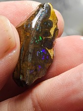 21cts Australian Boulder Rough