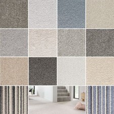 SAMPLE**   Soft Noble Saxony