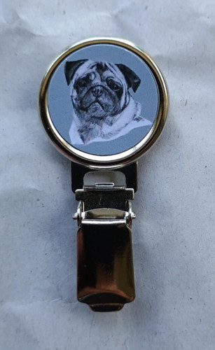 Pug dog show - ring, clip