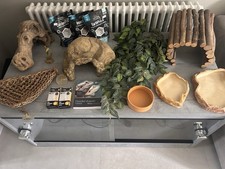 Bearded Dragon Vivarium