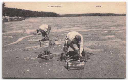 Vtg 1955 clam diggers rockland - clam,
