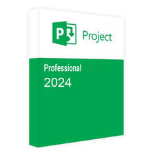 Microsoft Project Professional
