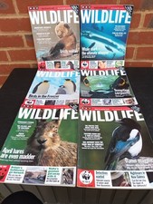 Vintage BBC Wildlife Magazines