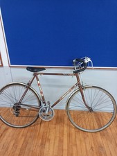 Raleigh magnum vintage bike - raleigh,